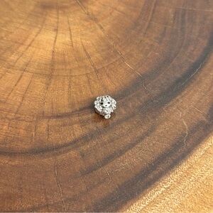 Pandora Harry Potter Hermione Charm (Retired)